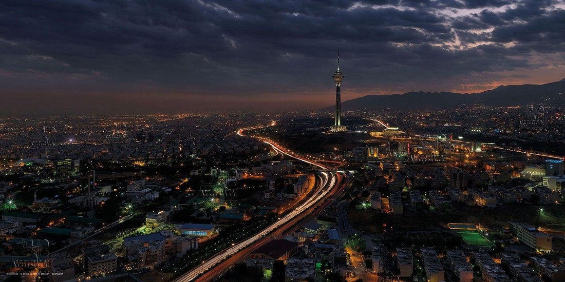 The Best Houseplants for Apartment Living in Tehran's Climate