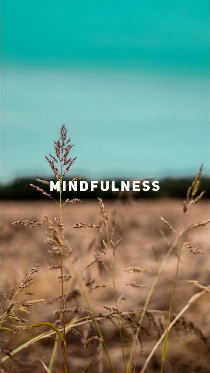 A Practical Guide to Mindfulness and Meditation for Skeptics