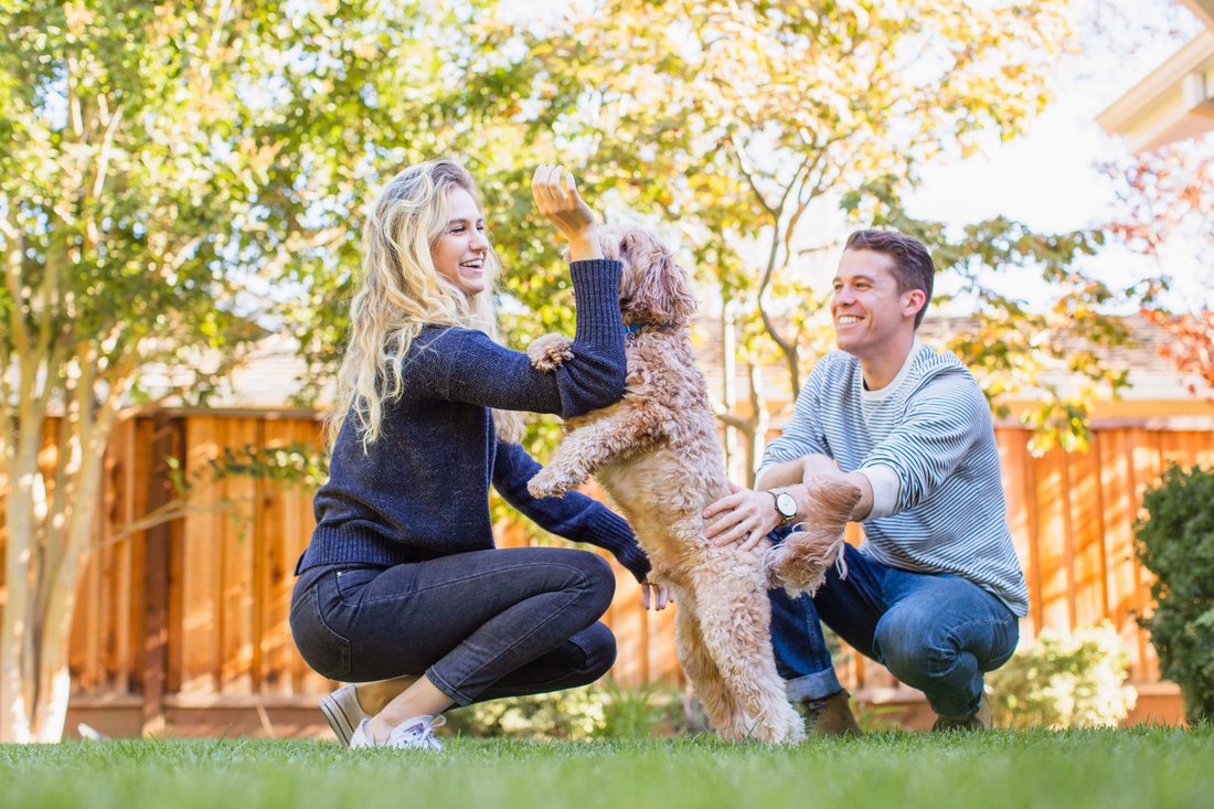 The Ultimate Guide to Pet-Proofing Your Home