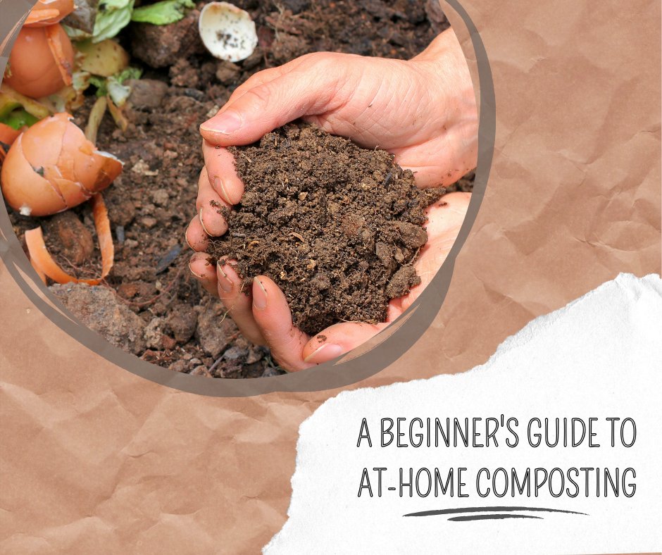 A Beginner's Guide to Composting at Home