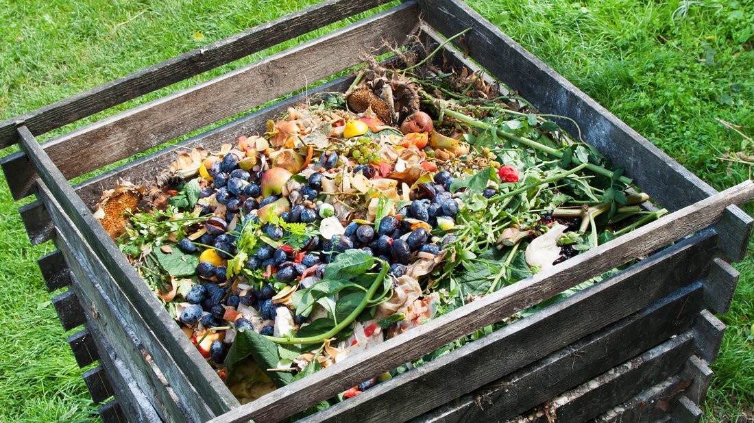 A Beginner's Guide to Composting at Home