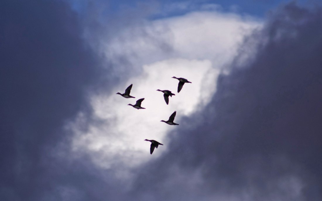 The Complete Guide to Migrating from Windows to macOS Seamlessly
